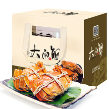 京东超市	
【活蟹】金碧波 六月黄鲜活大闸蟹 10只装 2.5-2.8两/只 现货实物 螃蟹礼盒 海鲜水产