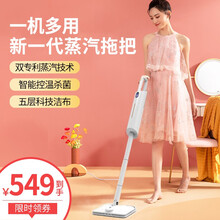 良本 多功能蒸汽拖把 家用蒸汽清洁机 高温蒸汽除菌 多功能手持便携式电动拖把 手持清洁机 白色标配 [一机多用 智能控温 蒸汽杀菌]