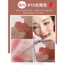井田CANMAKE腮红妹五色花瓣晒红裸妆自然高光一体盘膏修容5 珠光10#赤陶色