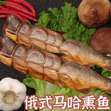 俄罗斯熏鱼 450克 多规格 俄罗斯整条大马哈 果木熏鱼全熟熏鱼鱼干开袋即食下酒菜 三文鱼冷熏鱼段500-600克