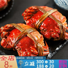 【活鲜】大闸蟹鲜活特大全公母蟹螃蟹六月黄现货礼盒装海鲜水产0.8-3.5两 塔布莫特 【大蟹8只装】3.0-3.5两