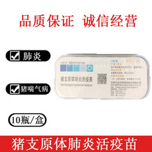 猪支原体猪喘气活疫苗吉林正业猪喘气肺炎活疫苗4头份一瓶