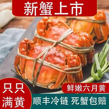 【活蟹】猫扑鱼 微山湖六月黄螃蟹 只只满黄 大一元蟹 螃蟹鲜活 二元蟹现货大闸蟹 六月黄（1.0-1.3两）2只