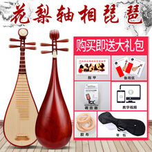 成人琵琶 初学民族乐器硬木红木练习琴演奏琵琶厂家直销 成人硬木花梨轴相琵琶带盒