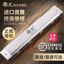 国光28孔德国进口音簧重音口琴高级成人专业演奏级复音初学者学生 28孔银色重音C调+学习资料