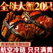【活蟹】臻佳肴大闸蟹礼盒装 现货全母鲜活螃蟹 苏州六月黄大闸蟹超大活体生鲜 全母蟹2.3-2.6两 6只装