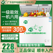 友田冷柜一级节能家用冰柜冷藏冷冻切换单双温冷冻柜小型保鲜商用大容量出租 238L单开节能款【送货入户 保修十年】