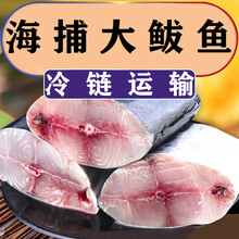 大鲅鱼马鲛鱼新鲜鲜活冷冻鲅鱼段海鱼海鲜批发 普米加罗 【精品鲅鱼段】中号 五斤装