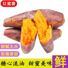 红薯新鲜糖心西瓜红蜜薯沙地农家自种烤番薯 5斤 中果
