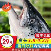 国际	尚致 挪威三文鱼头 煲汤烧烤新鲜三文鱼边角料速冻真空包装 带腮 3-4只/3.8-4.2斤