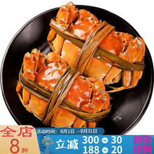 【活鲜】大闸蟹鲜活现货活体螃蟹六月黄海鲜水产全公母3两清水蟹河蟹毛蟹 塔布莫特 【2.0-1.5两 16只】只只有黄