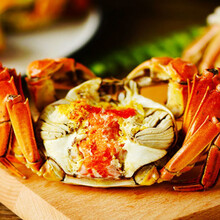 【活蟹】大闸蟹鲜活冷链现货六月黄公母螃蟹礼盒  罗菲迪新 六月黄(1-1.3两) 10只