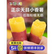 正宗天目山小香薯手指薯5斤新鲜临安板栗红薯10富硒地瓜山芋番薯 3斤 中果