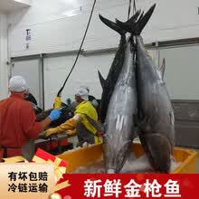 金枪鱼刺身-60度新鲜去腮去内脏去尾20-30斤生鲜 佑达嘉怡