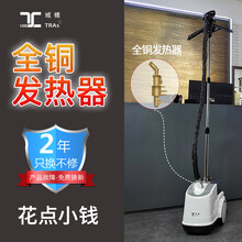 域桥挂烫机家用烫衣服商用服装店蒸汽大功率熨烫机立式大蒸汽2000W 白色