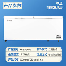 博伦格斯冰柜商用大容量冰箱卧 式冷柜大型冷藏冷冻柜速冻节能单 温TD XCBG-1080 五面制冷 数显控温