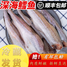 【顺丰速递】深海鳕鱼去头去内脏鳕鱼块明太鱼海水鱼鳕鱼狭鳕鱼无冰衣 十字丽日 3斤装(净重无冰衣)