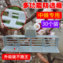 中蜂专用防逃框防跑王片蜜蜂防盗器多功能巢门隔王片养蜂工具