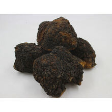 桦树茸500g俄罗斯野外生长桦褐孔菌桦树泪西伯利亚白桦茸养生桦树茸 桦树茸大块1斤重