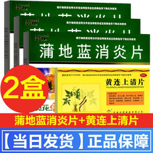 葵花蒲地蓝消炎片蒲地兰浦地蓝儿童成人口服药清热解毒抗炎消肿药扁桃腺炎治疗疖肿咽炎扁桃体炎的药 1盒+黄连上清片1盒】清火泻火止痛