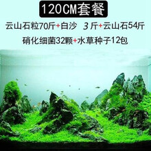 蓝宝 鱼缸造景套餐水草泥草种子假山石头造景石底砂鱼缸装饰水族箱水草 120cm套餐