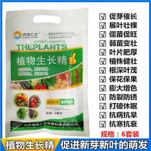 植物生长肥料叶面肥植物生长精促芽催长僵苗促旺保花保果膨大增色 10袋6套装植物生长精（送2袋）