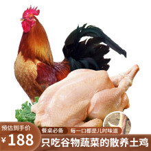 云依禾农庄 土鸡肉公鸡农家散养柴鸡大公鸡 净重2.5kg/只 整只
