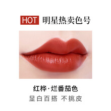 美康粉黛丝绒唇釉雾面哑光女学生款平价小众品牌唇彩烂番茄色口红  多种颜色选择 02#红桦