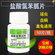 家禽鸡药片大全鸡病兽用小鸡开口药呼吸道药鸡瘟药鸡痘球虫血痢灵 10g/盐酸氯苯胍片20瓶