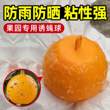 诱蝇球瓜果实蝇粘虫球捕柑橘大实蝇杀桔小实蝇针蜂沾马蜂灭贴粘果蝇诱捕器家用诱粘剂果园灭蚊虫粘蝇纸 7.7cm黄色 5个