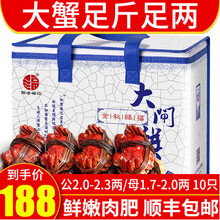 【活蟹】阳澄福记 大闸蟹六月黄公2.0-2.3两母1.7-2.0两5对10只 生鲜鲜活螃蟹现货礼盒
