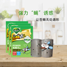 粘蝇板 苍蝇粘板灭蝇绿叶粘蝇纸板粘蝇板苍蝇贴粘蝇贴粘蝇彩带蝇贴50片
