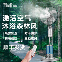 西联电风扇落地扇喷雾风扇家用加湿水雾加水雾化摇头遥控立式空气循环净化卧室客厅办公室风扇 银色（智能款）