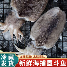 【冷藏发货】新鲜墨鱼鲜冻鲜活大墨鱼超大鲜墨斗鱼 米金船卡 4斤装