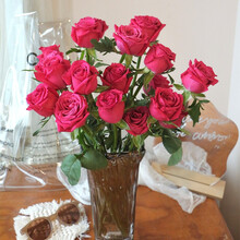 云南藏霞 玫瑰鲜花家居办公七夕礼物 基地直发 红色16枝赠4枝防损