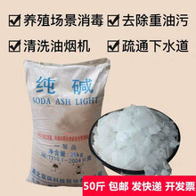 片碱 工业碱工业纯碱99% 厨房去油污疏通下水道 养殖消毒专用 污水处理剂25