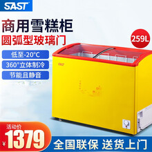 SAST 迷你小冰柜 家用商用节能带锁小型冷柜冷藏冷冻柜透明玻璃门展示柜岛柜饮料雪糕柜超市母乳冰箱 BD/BC-259（雪糕柜）