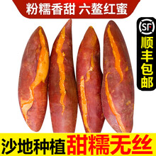 【顺丰】福建六鳌红薯 沙地红蜜薯新鲜地瓜板栗小番薯 4.5-5斤大果（8-12）