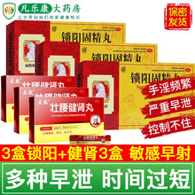 向前锁阳固精丸金锁固精丸治疗偉男性早泄药手淫过度遗精早泄阳痿无力勃起补肾壮阳锁精丸片胶囊中西药品G哥 国药准字补肾壮阳药肾阳虚的药 3盒+壮腰健肾丸3盒