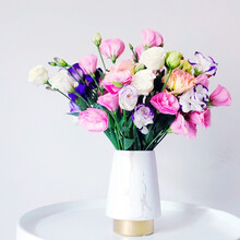 远方的花 洋桔梗鲜花生活鲜花速递 混色洋桔梗5枝