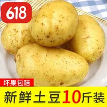 2020新鲜黄皮土豆10斤现挖马铃薯农家黄心土豆农家5 带箱2.8斤