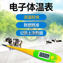 华畜 兽用体温表 养殖设备家用大棚猪场温湿度表干湿两用 软头电子温度计