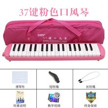 DHS口风琴37键32键小学生用口风琴儿童专业演奏级初学者吹管乐器 37键粉色+全套赠品