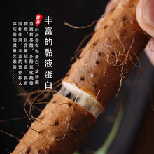 焦作温县铁棍山药正宗怀山药铁杆山药新鲜蔬菜河南特产 粉糯香甜 5斤【55-65】铁棍山药