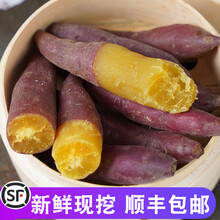 爵妃 3/5斤临安天目山小香薯新鲜红薯正宗板栗沙地番薯 3斤 小果