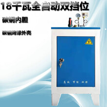 全自动电热蒸汽发生器节能锅炉服装熨烫豆浆蒸煮酿酒汗蒸消毒养护标努 18/kw全自动2档