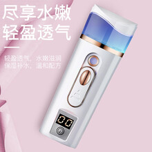 璐瑶 补水仪纳米喷雾器脸部手持神器便携式冷喷机蒸脸器面部加湿器家用美容仪活肤面膜仪 豪华测皮肤款 高配款