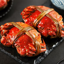 大闸蟹 鲜活特大公母蟹螃蟹六月黄现货礼盒装海鲜水产 罗菲迪新 【聚会16只装】2.0-2.5两