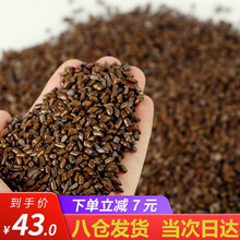 决明子玩具沙池套装宝宝海洋球池儿童沙滩玩具挖沙子沙池游乐场小孩家用折叠围挡玩具沙池广场摆摊球池 5斤决明子沙