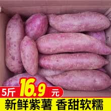 【平价菜场】农家紫薯地瓜 小香薯香芋香甜软糯 新鲜蔬菜 5斤小果家庭装（买2件合并发9斤）